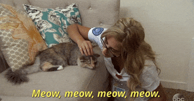 GIF by The Bachelor