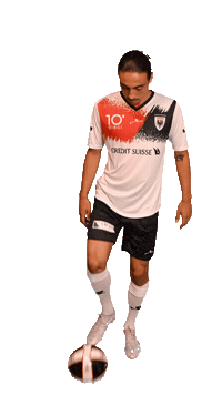 Almeida Sticker by FCAarau