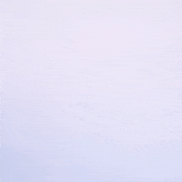 Texas Tech Ncaa GIF by Texas Tech Baseball