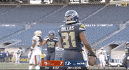 Seattle Seahawks Football GIF by NFL