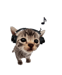 Cat Music Music Cat Sticker
