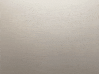 dog corgi GIF
