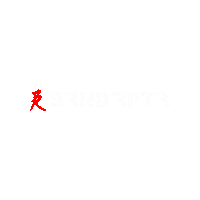 BrandRaptor photography videography brlogo brndrptr Sticker