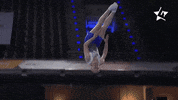 Jump Flip GIF by Die Finals