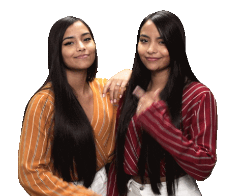 Pointing Twins Sticker by VidCon