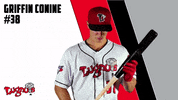 blue jays baseball GIF by Lansing Lugnuts