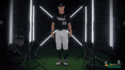 Tulane Rollwave GIF by GreenWave