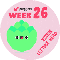 Lettuce Head Baby Sticker by Preggers