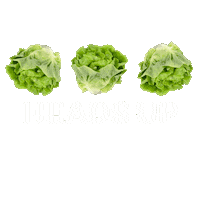 Heads Up Health Sticker by Verde Fresh Salads + Wraps