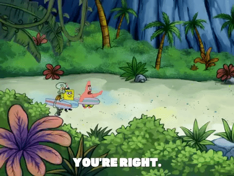 season 6 GIF by SpongeBob SquarePants