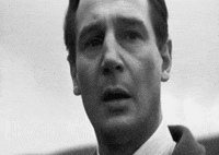 steven spielberg GIF by Maudit