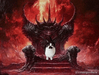 Funny Cat GIF