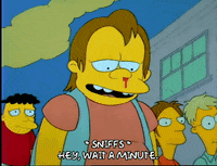 Season 1 GIF by The Simpsons