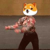Fun Crypto GIF by Baby Doge Coin