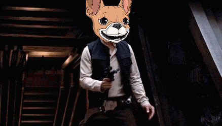 GIF by Underdogs
