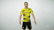 borussia dortmund GIF by Bundesliga
