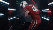 College Football GIF by gamecocksonline