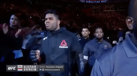 mma ufc218 GIF by UFC