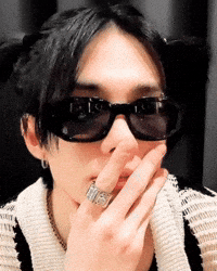 Skz Prince GIF