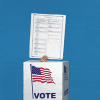 Digital art gif. Hand raises a ballot out of a white box decorated with an American flag labeled “Vote” against a blue background. Above the box, a rainbow appears, reading the text, “Stoodis.”