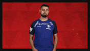 Sv Darmstadt 98 Applause GIF by Bundesliga