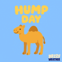 App Weather GIF by Brzzy