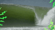 Mar Praia Brava GIF by Greenplace TV