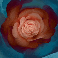 art love GIF