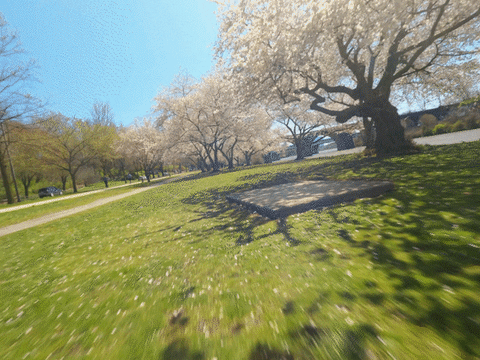 CosmikDrones giphyupload GIF