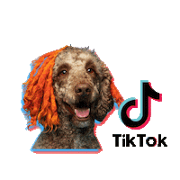 Tik Tok Dog Sticker by Leos Doghouse