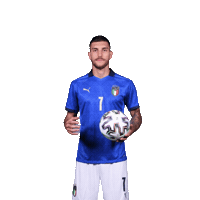 Euro 2020 Football Sticker by UEFA