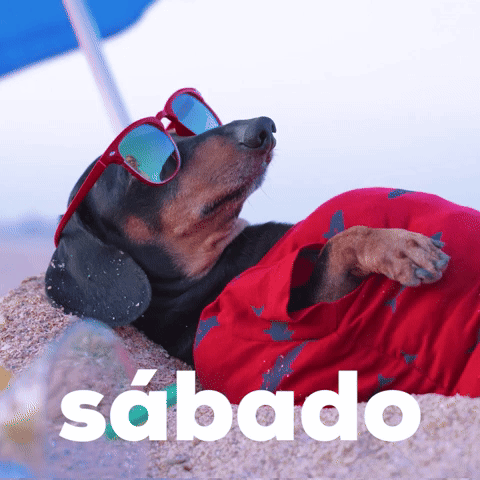 Sรกbado