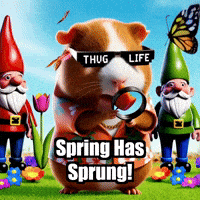 Flowers Spring GIF by Guinea Gambino