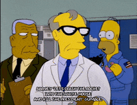 homer simpson GIF