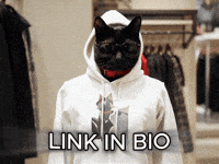 Link In Bio Cat Hoodie GIF