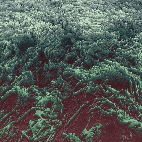 Animation GIF by Jack Gray