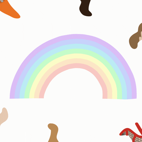 Rainbow Lgbt GIF