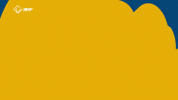 Ucam Murcia Cf Futbol GIF by UCAM Universidad