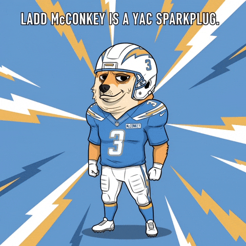 Shiba Inu Football GIF by Doge Pound