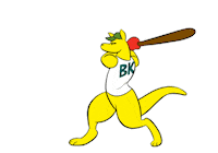 Summer Olympics Baseball Sticker by AUSOlympicTeam