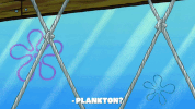 season 9 squid defense GIF by SpongeBob SquarePants