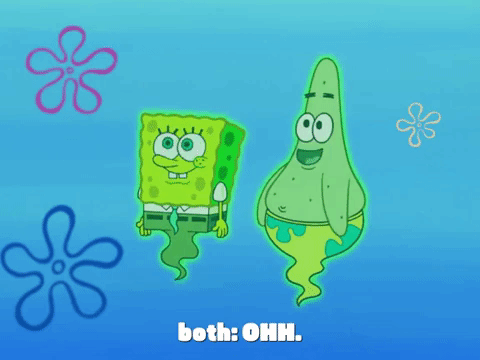 season 7 the curse of bikini bottom GIF by SpongeBob SquarePants