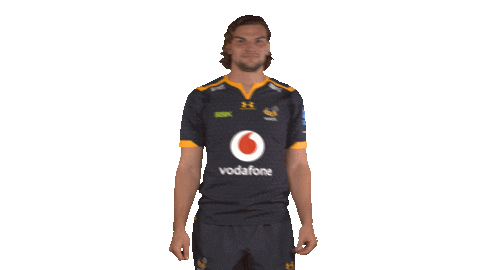 Rugby Sticker by Wasps