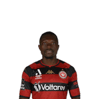 Western Sydney Wanderers Thumbs Up Sticker by wswanderersfc