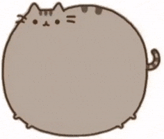 Cat Syma GIF