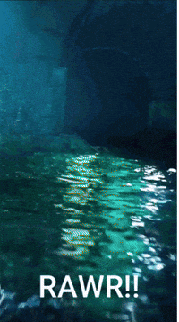 Black Panther Franco GIF