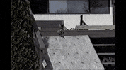 ducks win GIF by AFV Pets