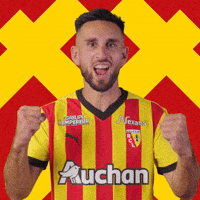 France Yes GIF by rclens