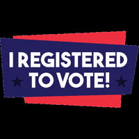 LasellVotes vote election voted voters GIF