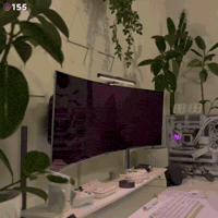 Pc Setup GIF